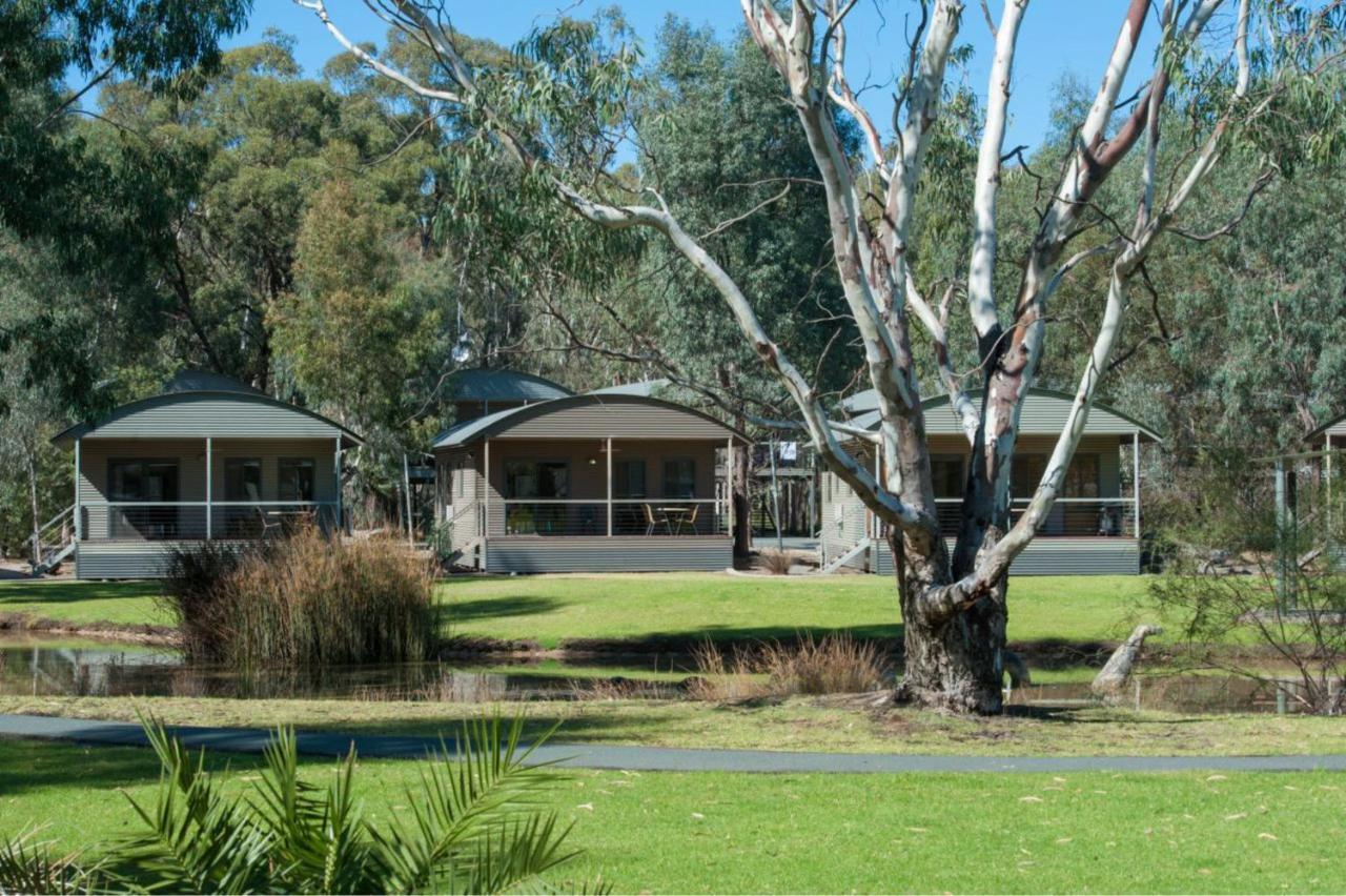 Tasman Holiday Parks - Moama On The Murray エクステリア 写真